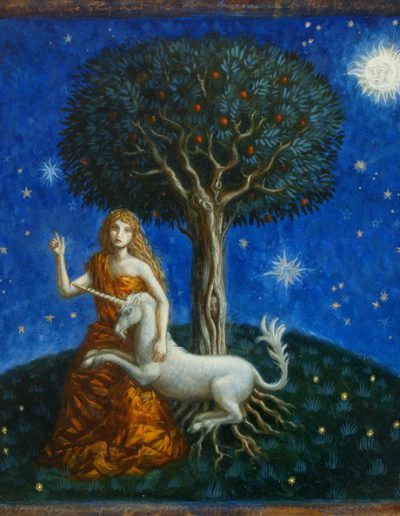 The Unicorn's Bride