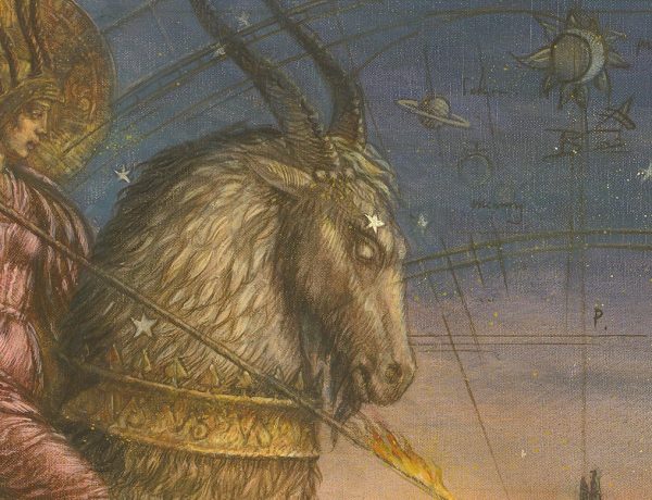 Capricorn - Image 2