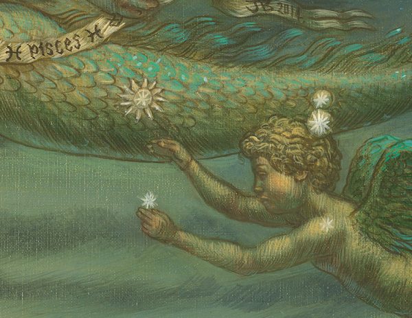 Pisces - Image 5