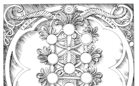 Tree of life featured image blogpost